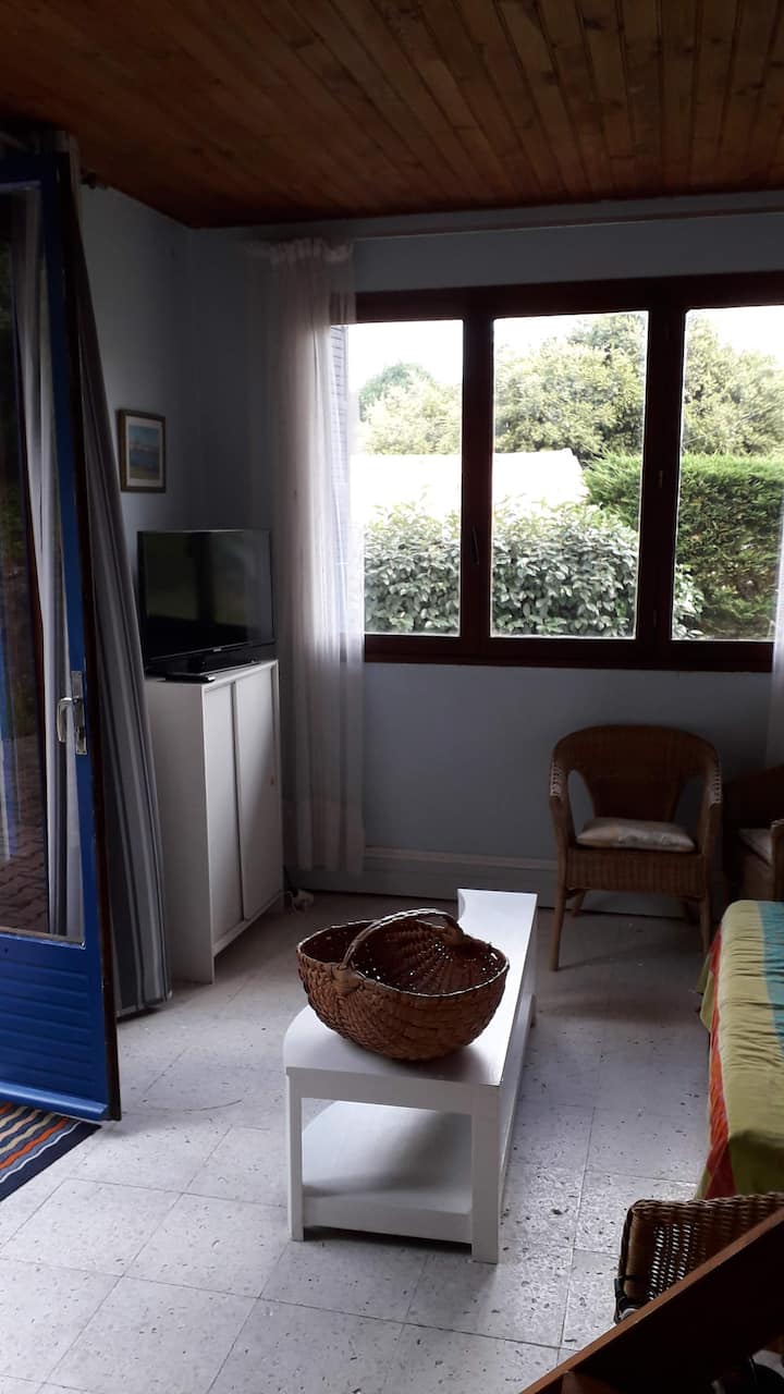 Sala de estar  y  televisión
