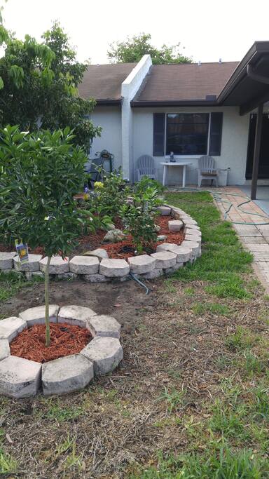 Front garden of the villa