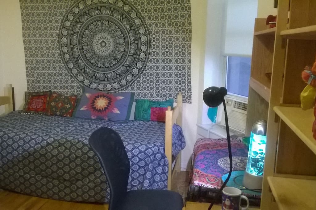 Twin bed, desk,shelving and aquarium lamp