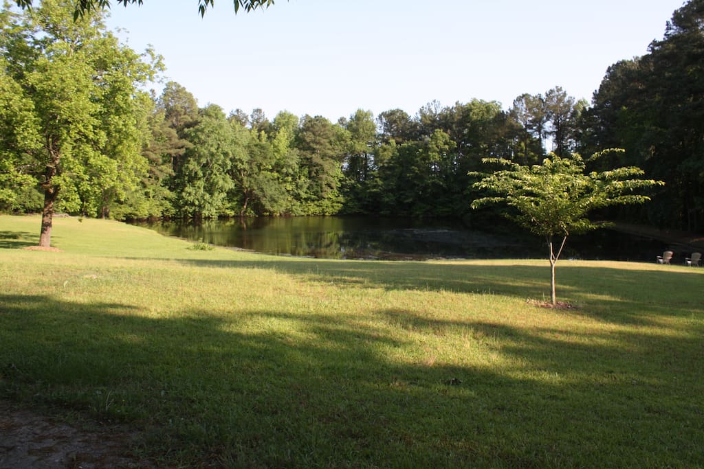 View from driveway of pond. Yes, fishable! Bass, bream, crappie.
