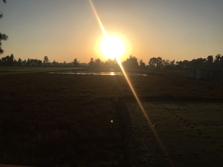 Sunset