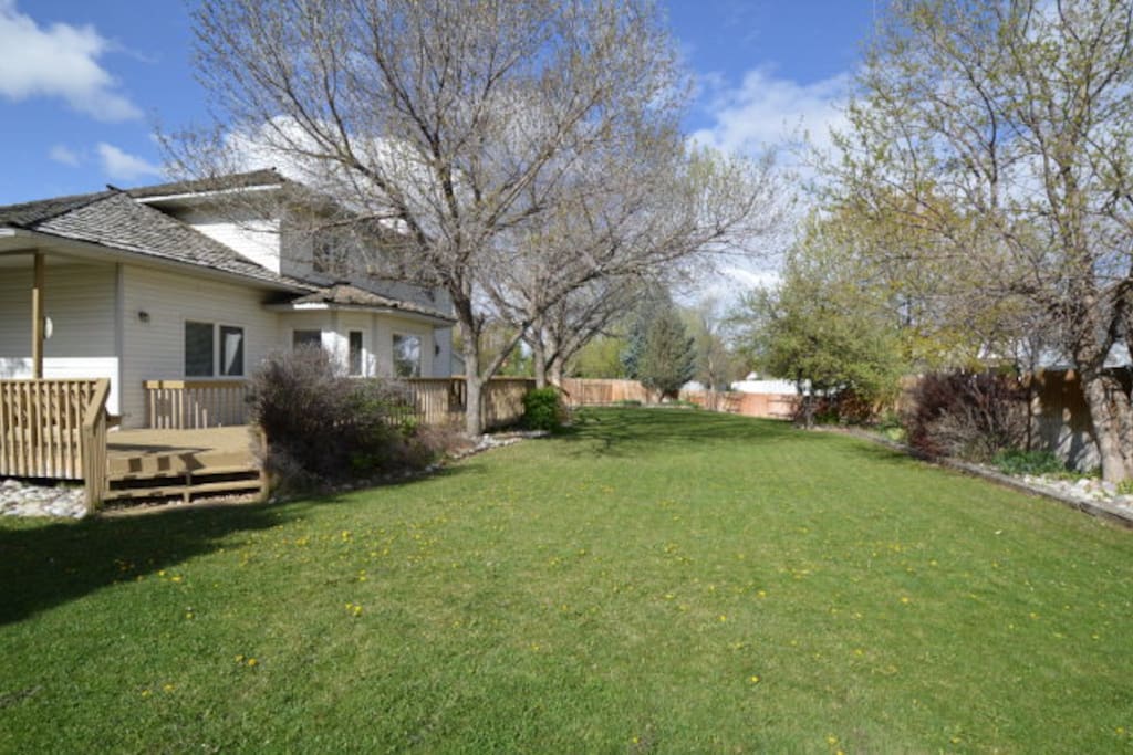 Our Lovely Backyard