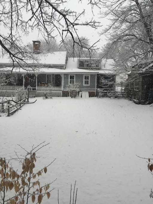 Winter views from my window.