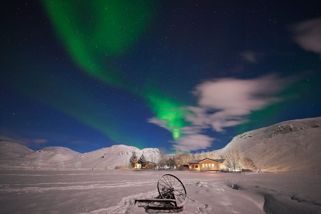 Winter - Northern Lights
