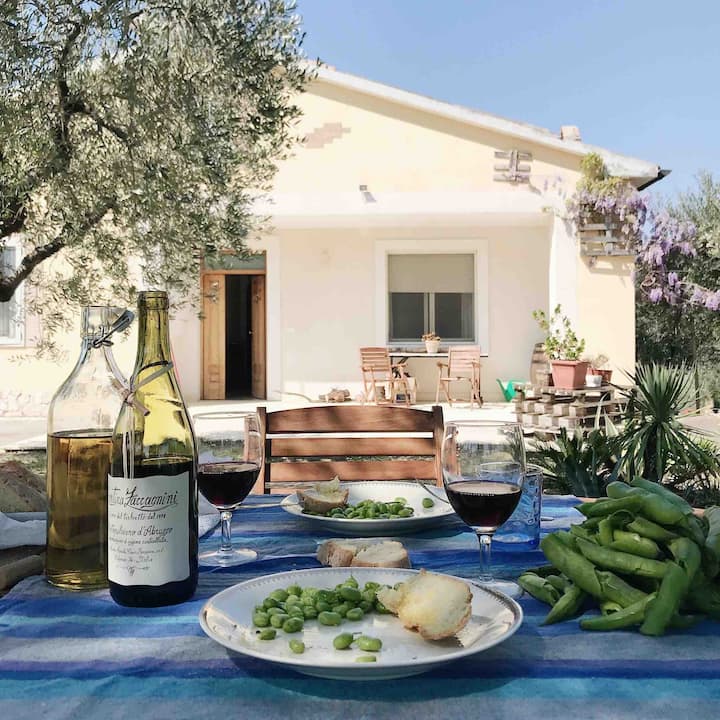 Villa In Campagna - Abruzzo