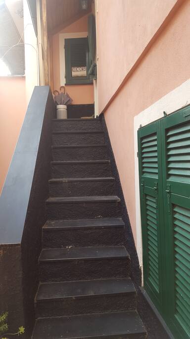 Ingresso