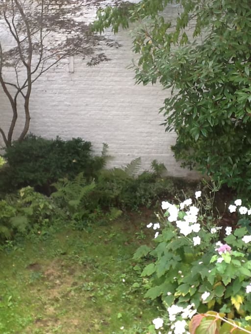 Small garden at the back of the house. No neighbourh