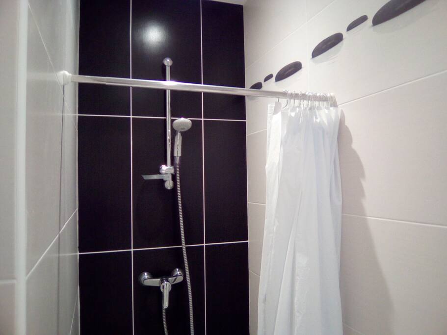 salle de bain type douche avec wc