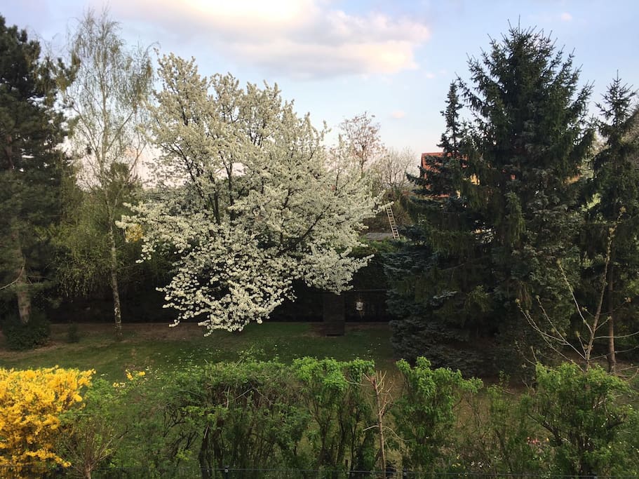 The view from living room/kitchen and master bedroom