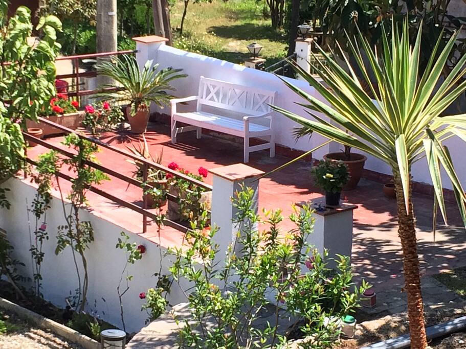 Terrace 1