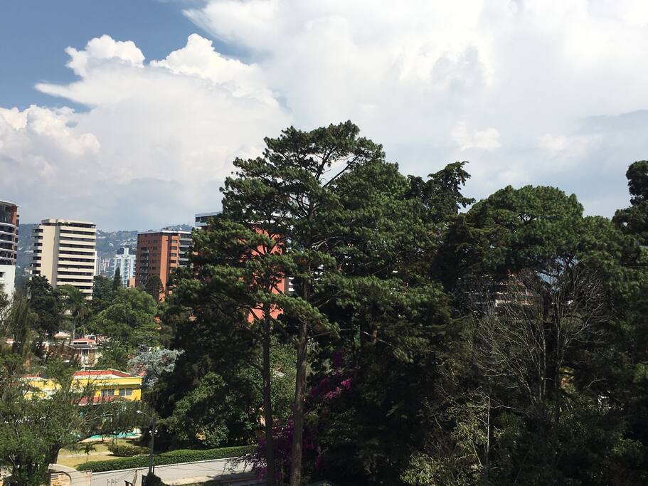 View from the bedrooms