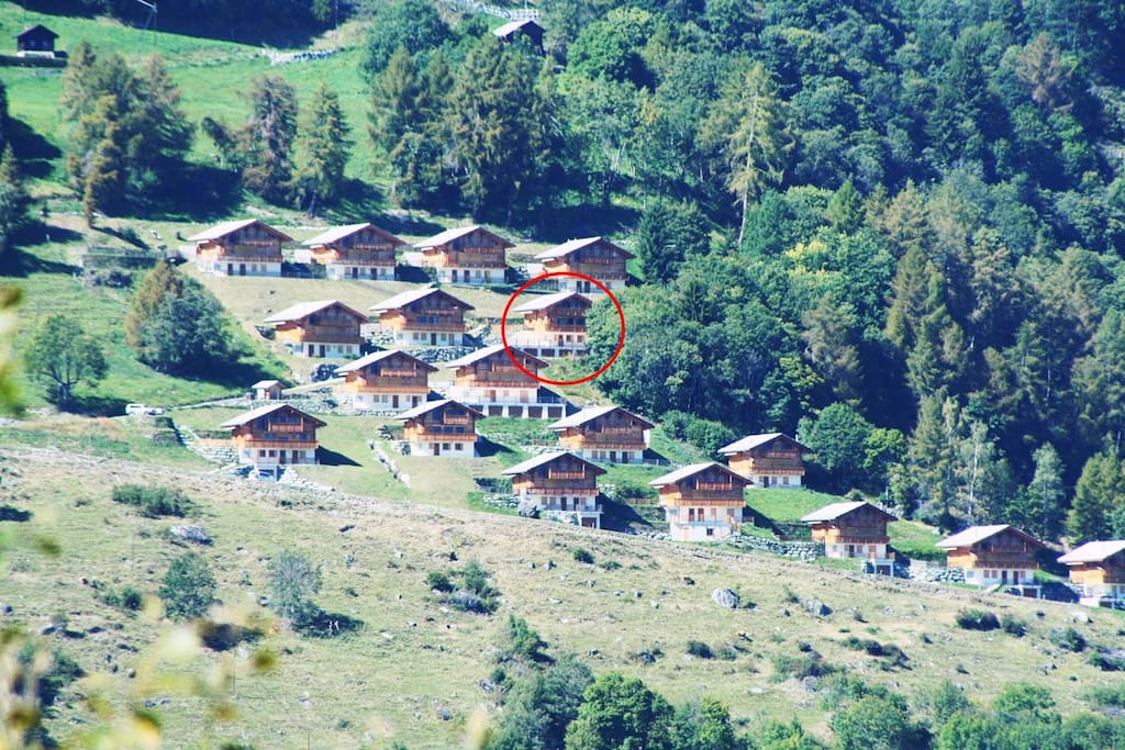 ...chalet in the trees