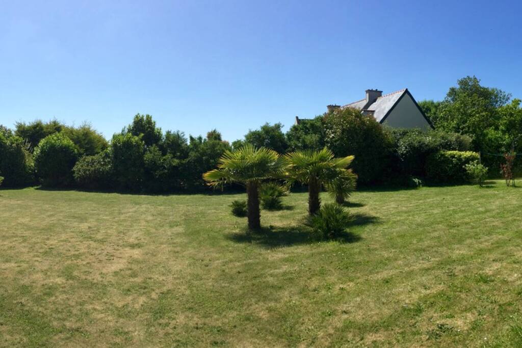 große Wiese zum Spielen, Sonnen und Entspannen