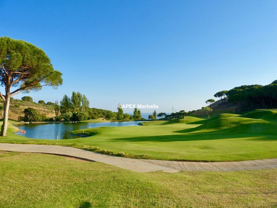 Choice of golf courses