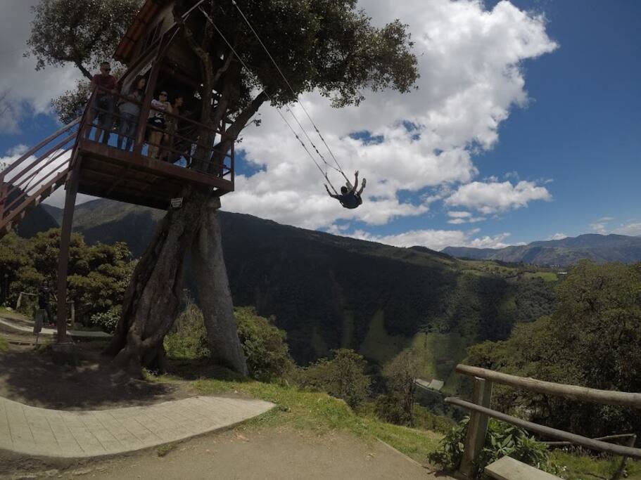 swing in the treehouse