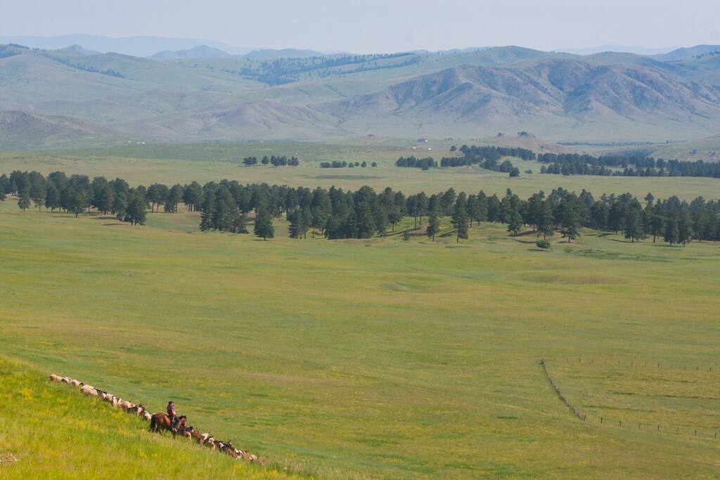 View around