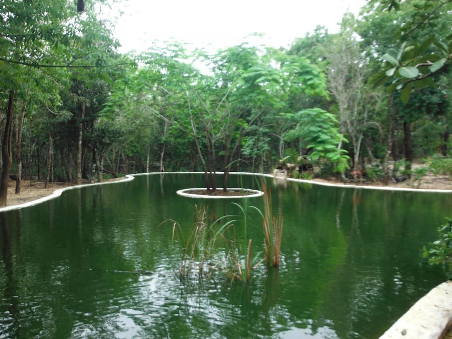 lago artificial