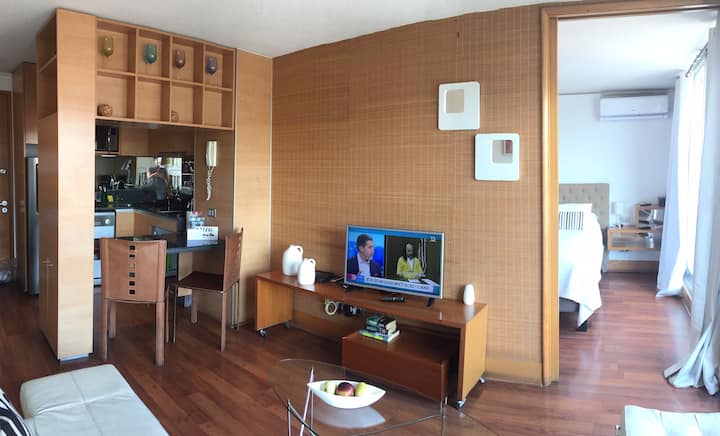 Beatiful  Apartment In The Center Of Providencia - Providencia, Chile