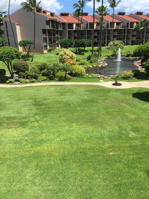 View of the grounds