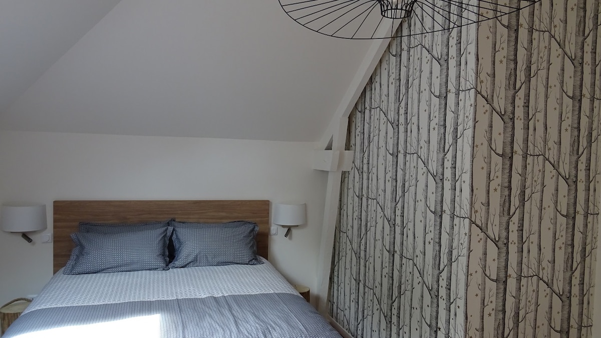 chambre avec lit 160x200cm