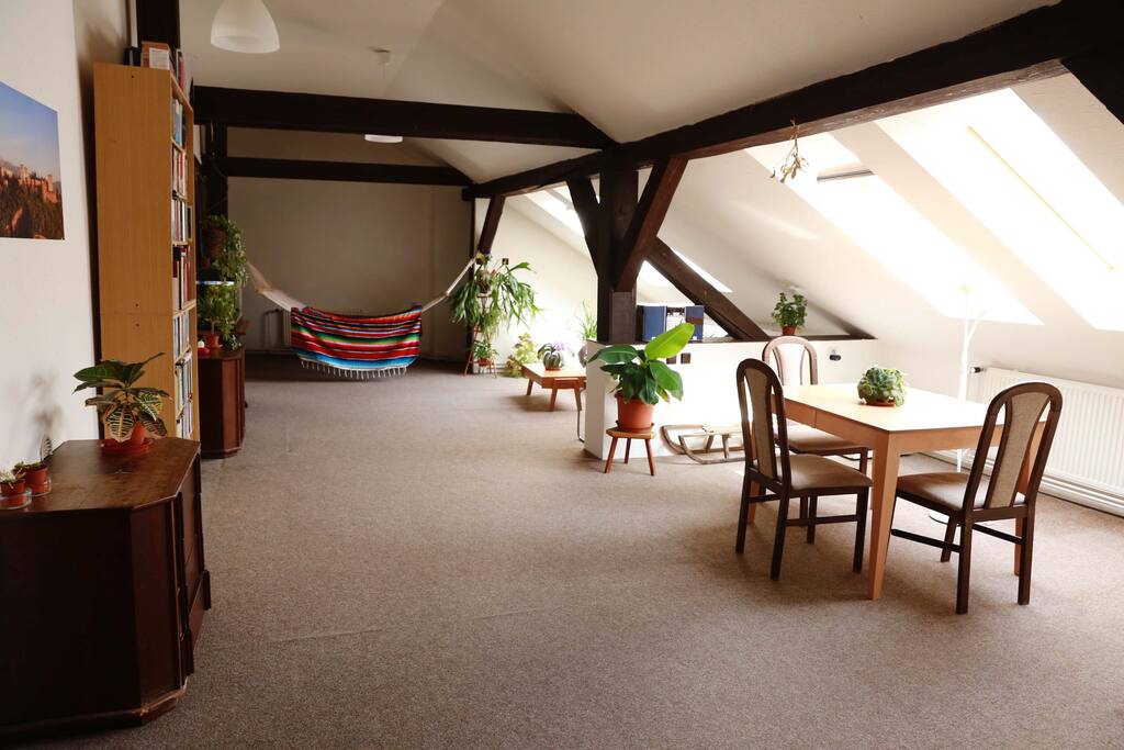 Large apartment with a hamaka in a centre