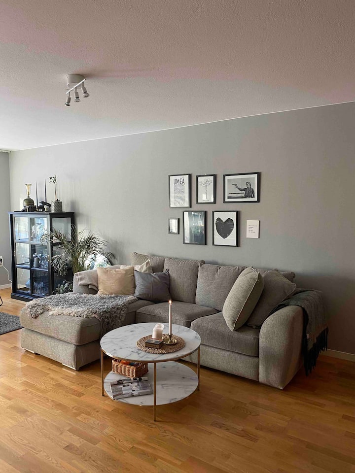 Large 2nd in central Umeå Apartments for Rent in Centrala Stan, Västerbottens län, Sweden Airbnb