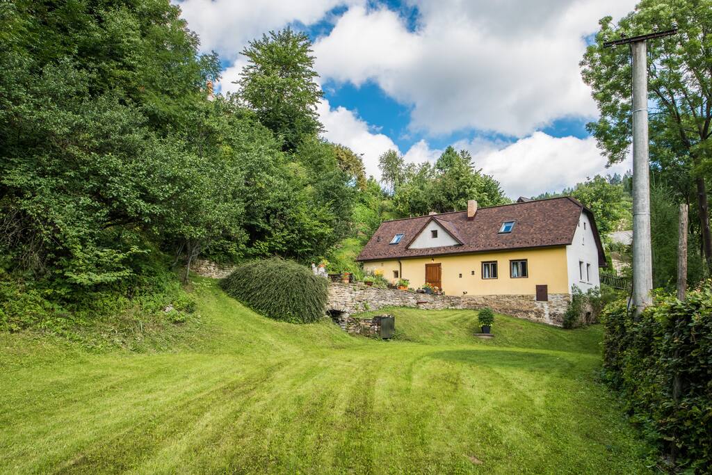 Large backyard with a lot of space for outdoor sports and activities.
