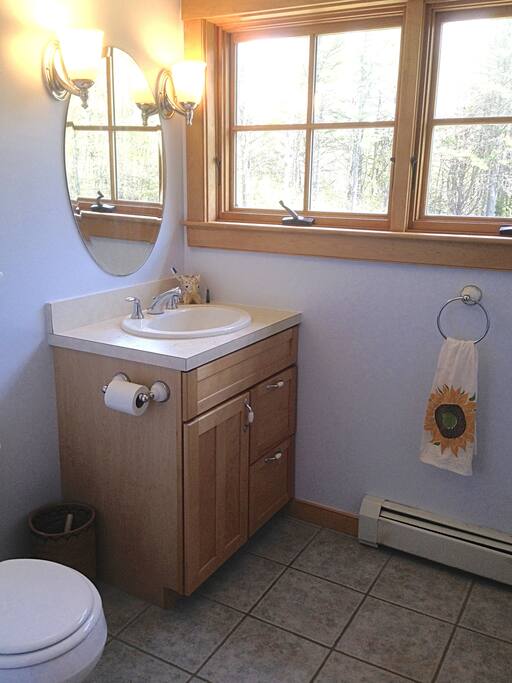 The guest bathroom sink...(with more views of the surrounding nature)