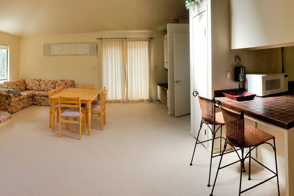 Spacious living room (right view)