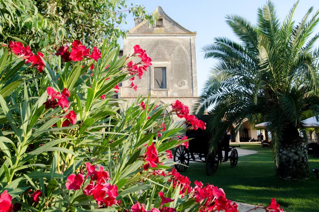 Dettaglio masseria