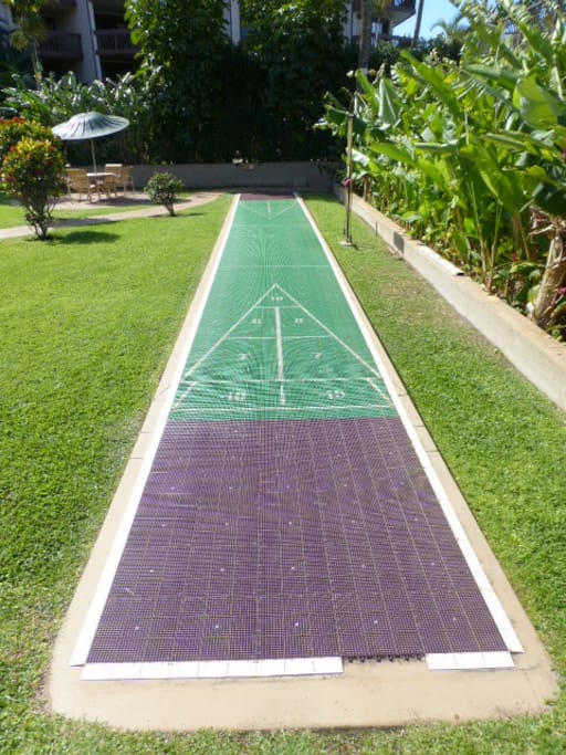 Shuffleboard anyone?