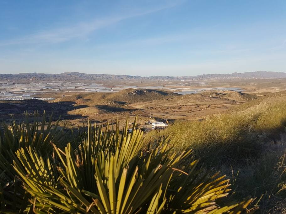 Cortijo