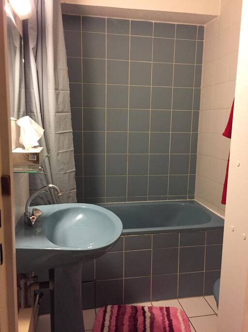 Salle de bain (baignoire + W.C)