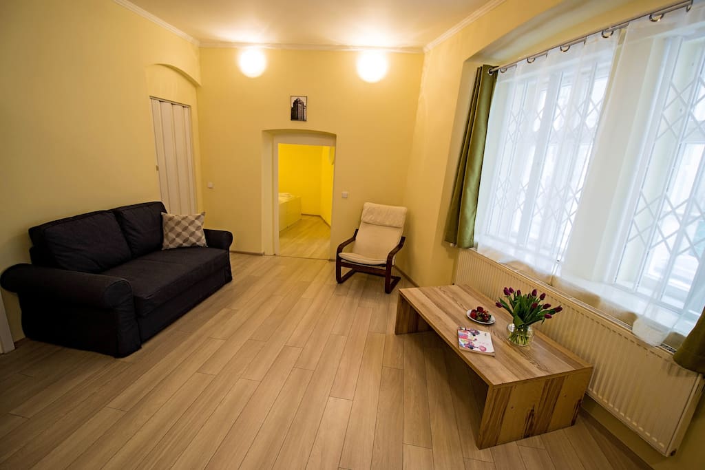 spacious living room with convertible sofa