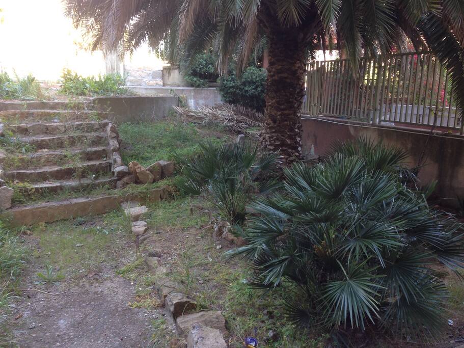giardino_ingresso privato_palmeto