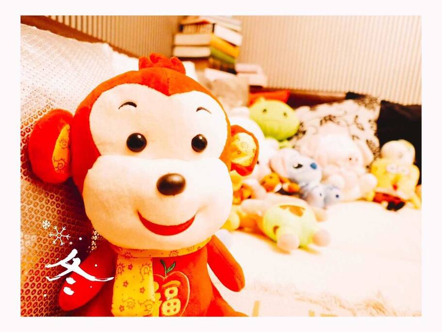 房东家有很多温馨的公仔娃娃