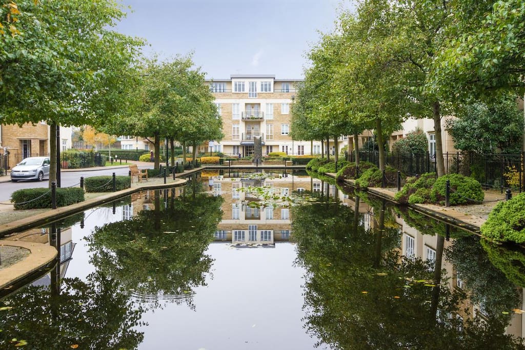 The developments pond