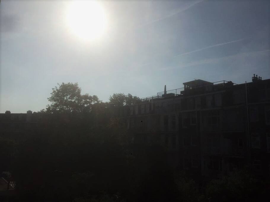 Sunny Amsterdam!