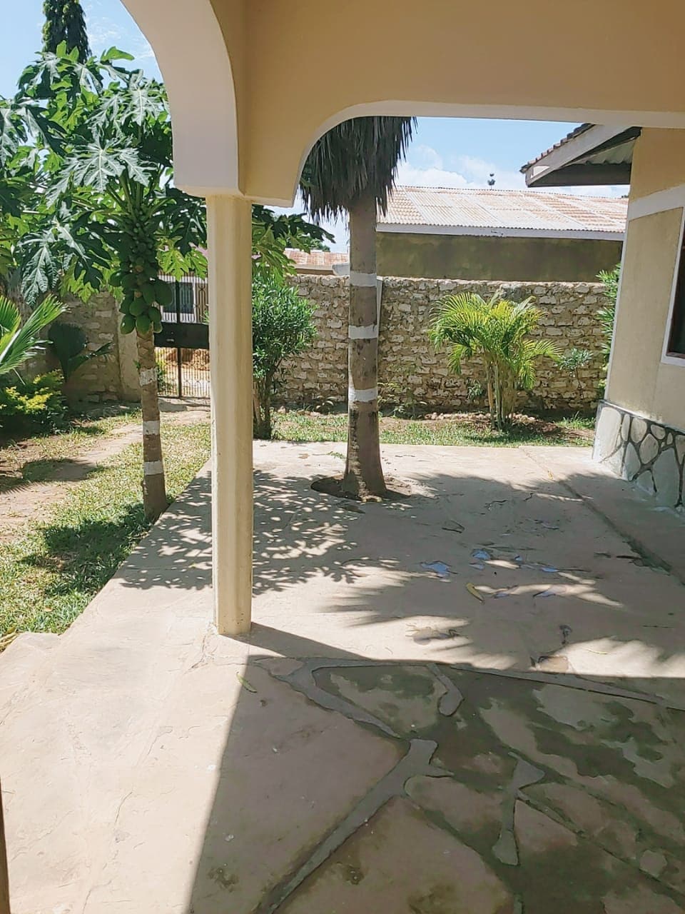 A shaded outdoor area is visible, featuring a stone pathway and a mix of greenery including palm trees and bushes. Sunlight casts gentle shadows on the ground, enhancing the natural setting. A stone wall is seen in the background, providing a sense of privacy.
