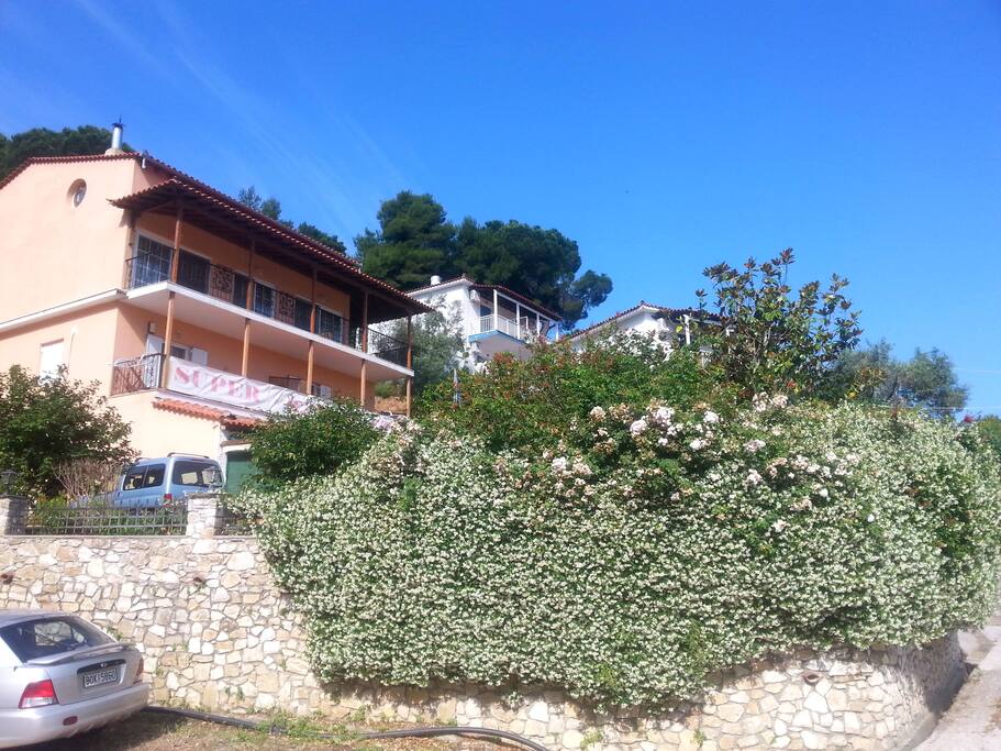 View of the hotel