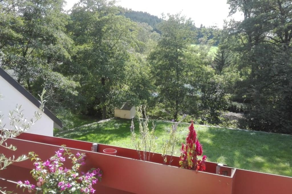 Balkon: Blick auf die Ausläufer des Schwarzwaldes