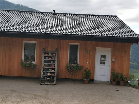 Top performing Airbnb: Cozy cottage "Bergblick Hollnhof" invites you to linger in Steiermark
