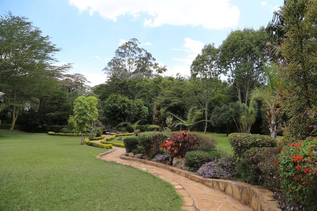Beautiful garden path leading to running waterfall and pond