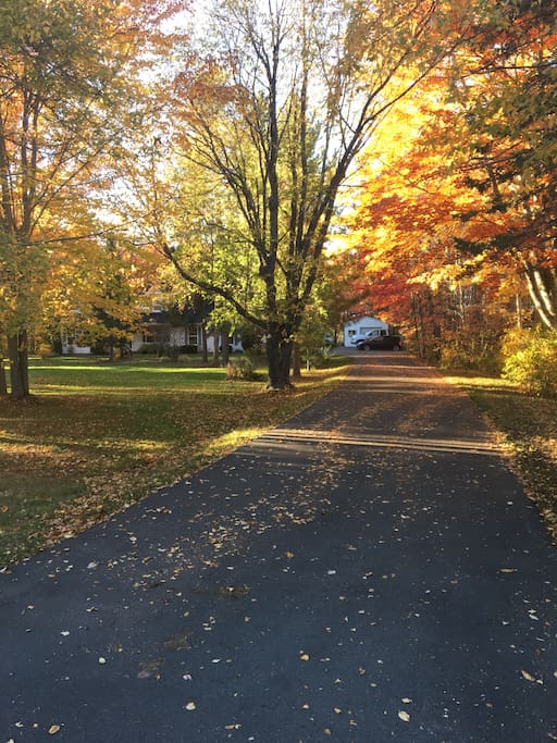 Front driveway