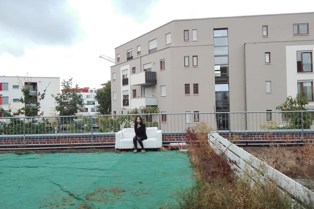 Roof terrace