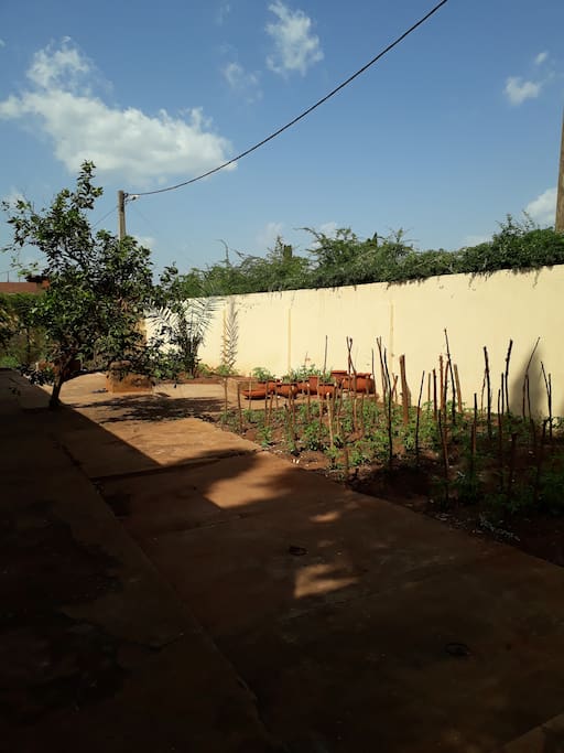 Jardin potager