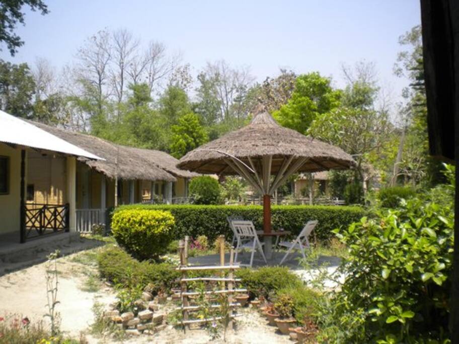 Beautiful garden with tea place in-front of room