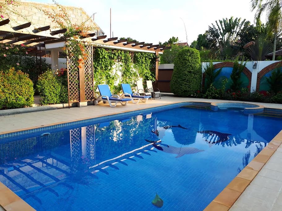 swimming pool