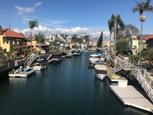 Naples Puppy-friendly Paradise