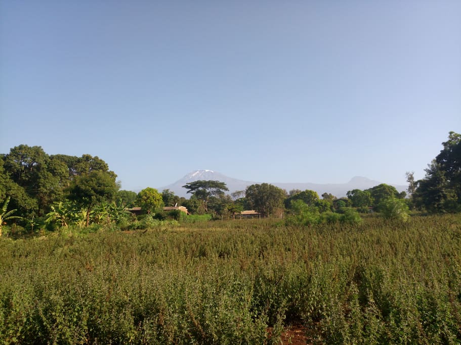 Mt. Kilimanjaro View from home